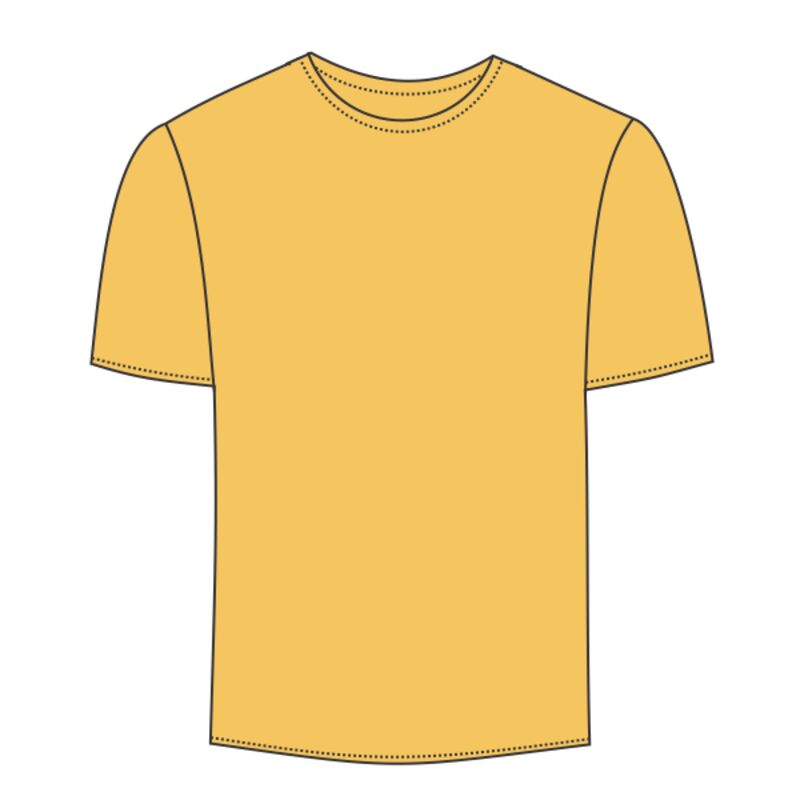 Youth Softstyle® Midweight T-Shirt Thumbnail